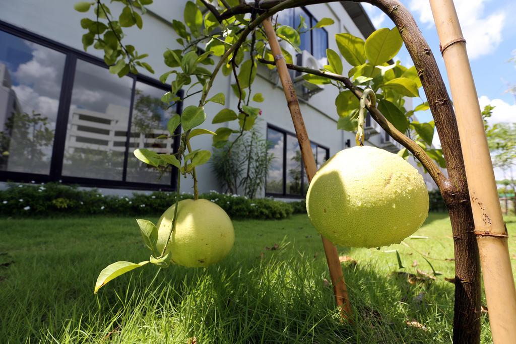 S Ratchada Leisure Hotel - Sha Plus Бангкок Екстер'єр фото Citrus ×sinensis